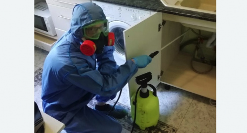 Уничтожение муравьев в квартире. Красногорск