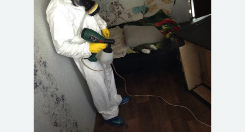 Обработка квартир от насекомых в Красногорске