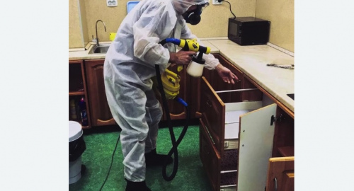 Дезинсекция квартиры. Красногорск