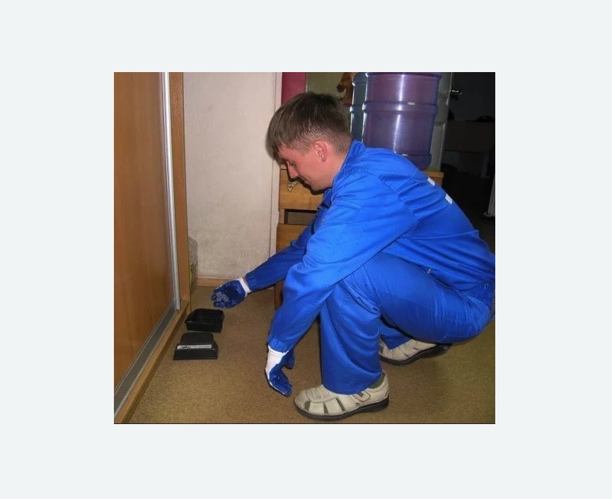 Дератизация крыс в Красногорске