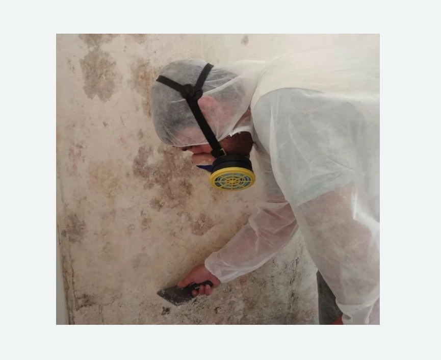 Обработка стен от плесени в Красногорске