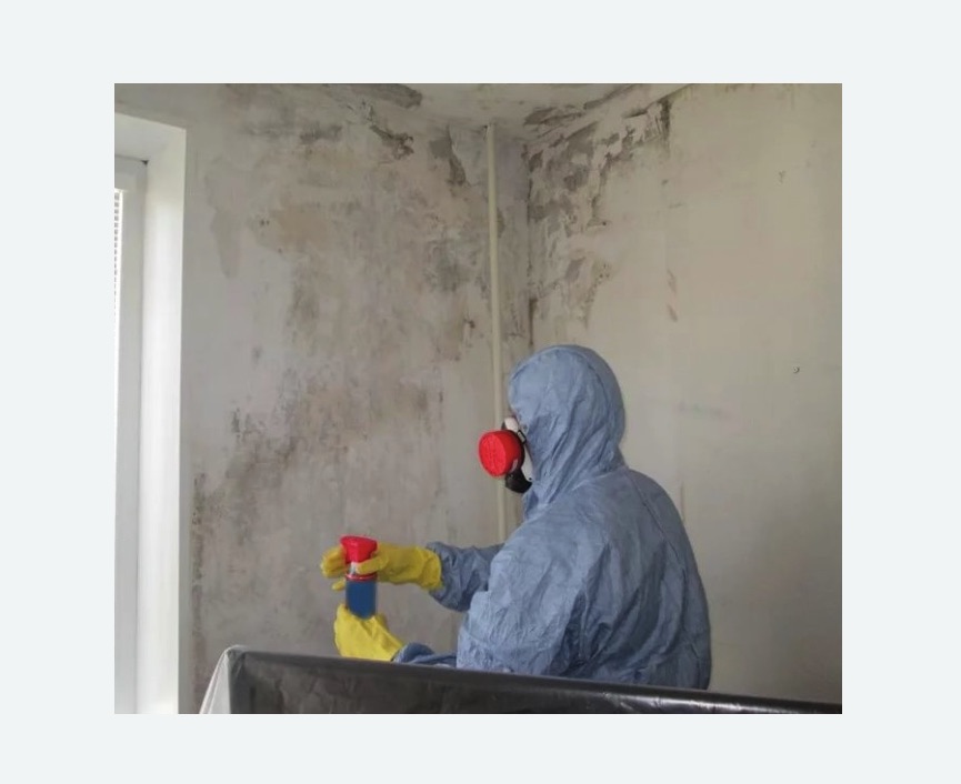 Удаление плесени в квартире в Красногорске