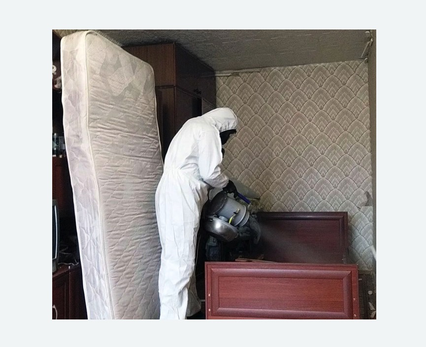 дезинфекция от клопов в Красногорске