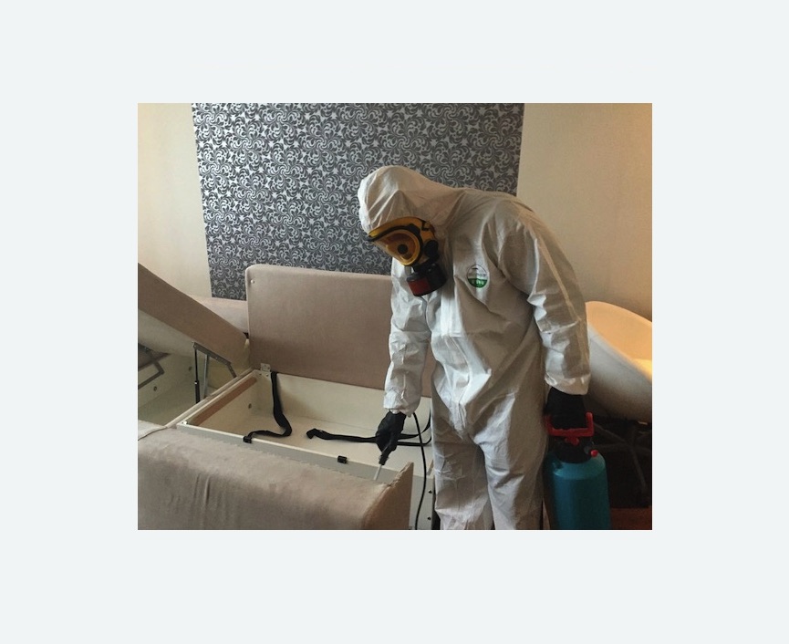 уничтожение клопов в квартире в Красногорске