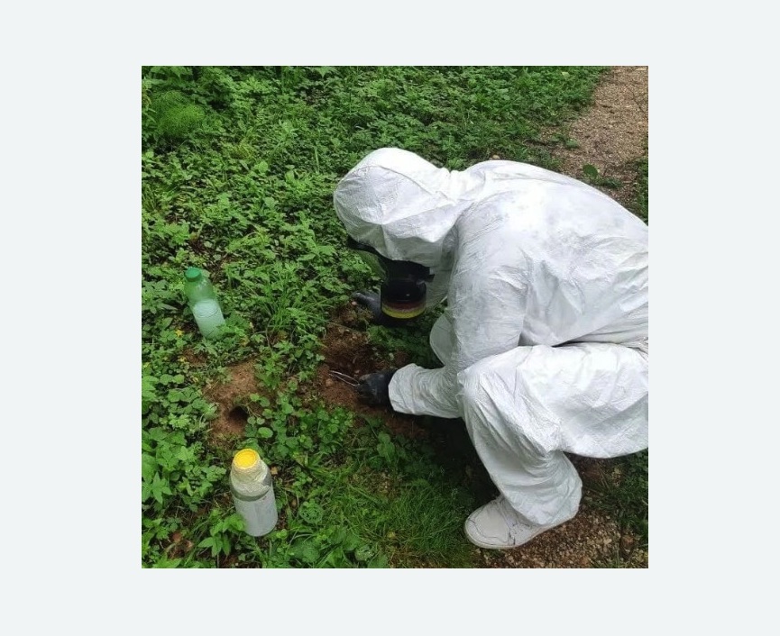 уничтожение кротов на участке в Красногорске