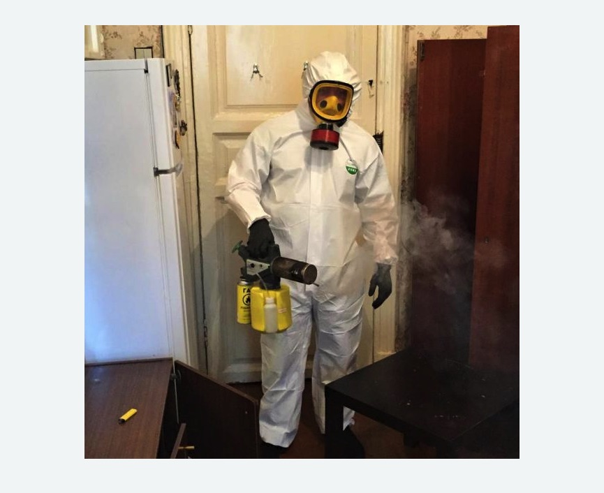 уничтожение муравьев в квартире в Красногорске